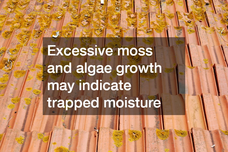 roof shingles with algae