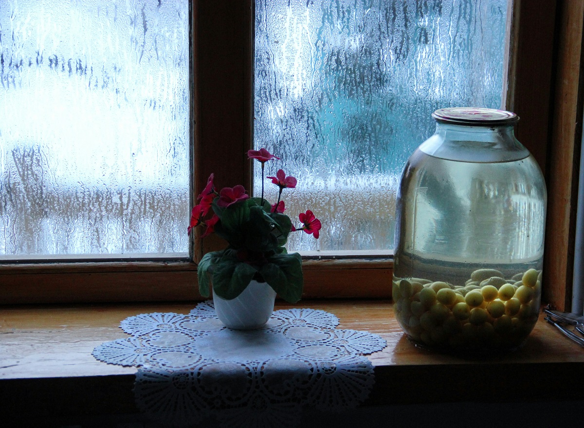 How to Control Humidity in Home During Every Season